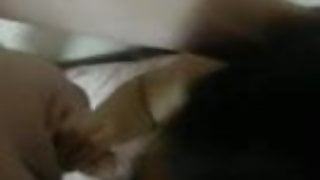 korean girlfriend gives blowjob